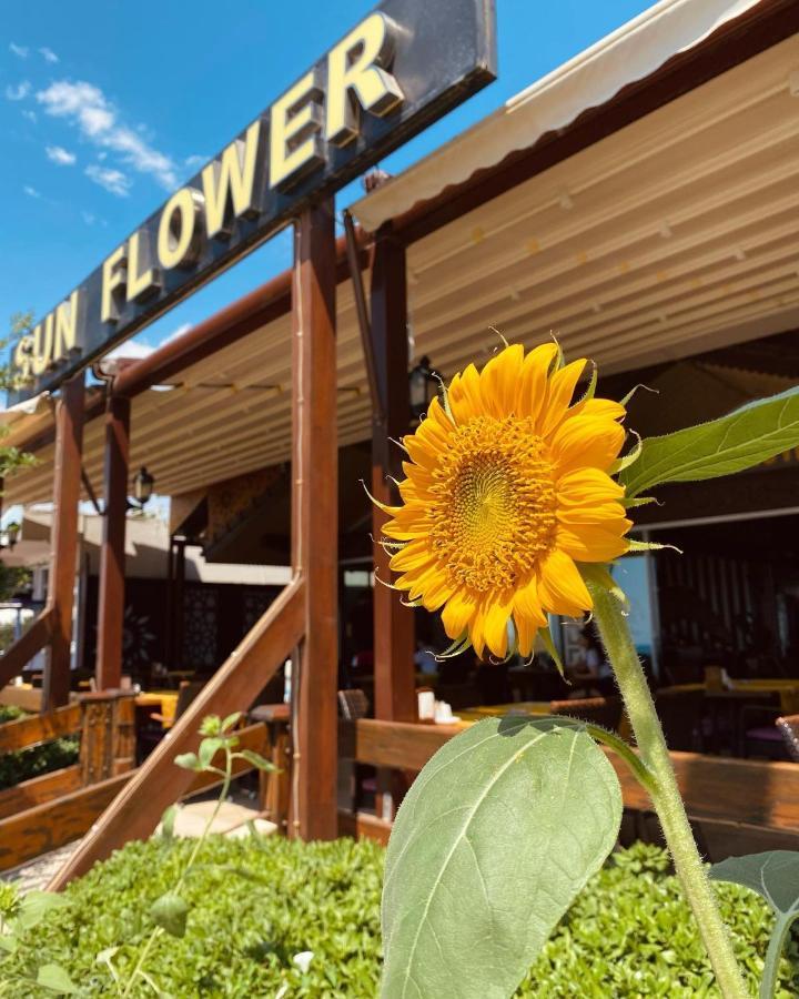 Sun Flower Apart Hotel Sidé Extérieur photo